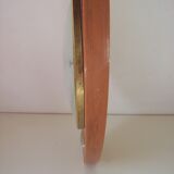 Formica pendulum