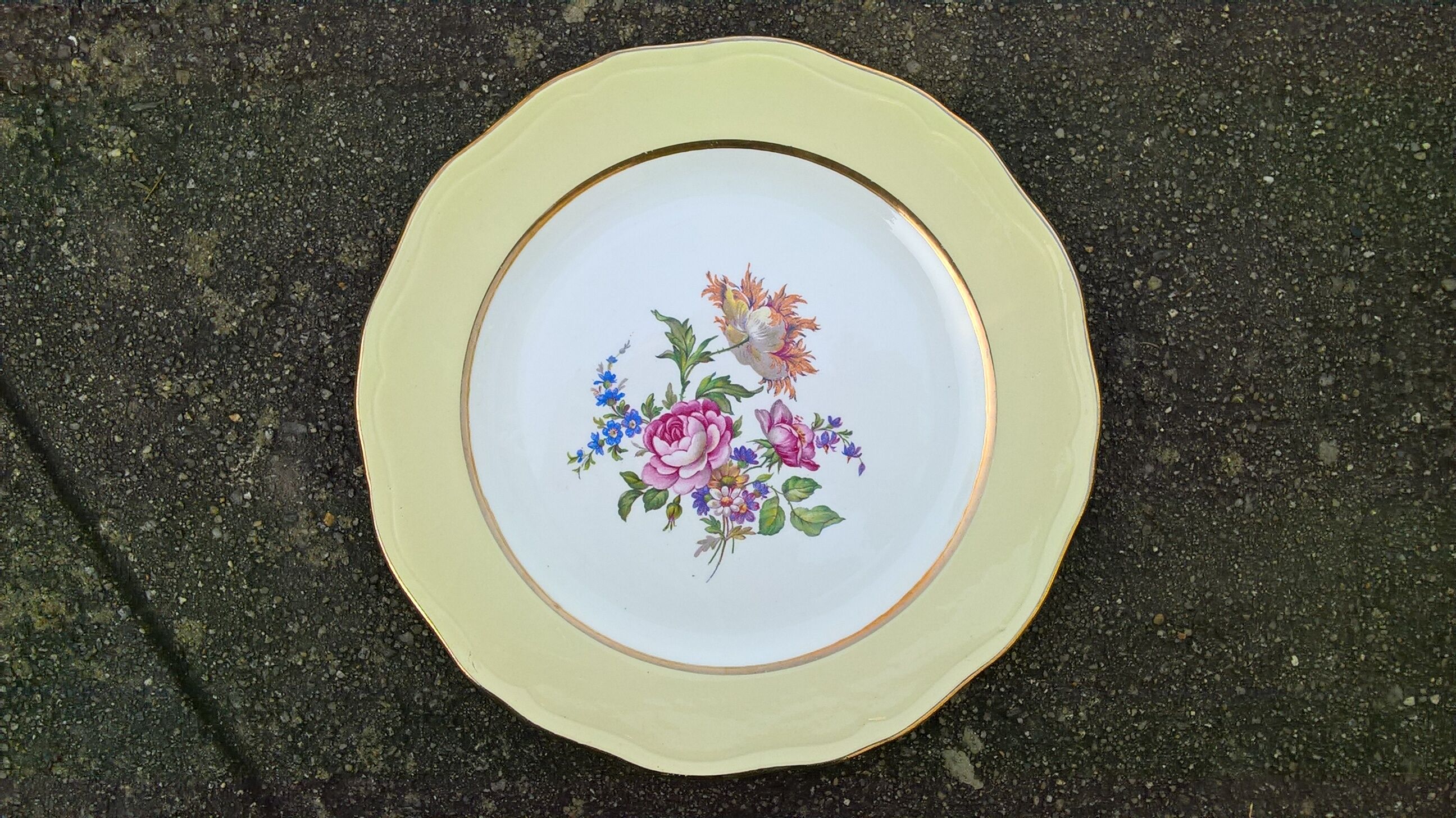 9 flat plates L'Amandinoise