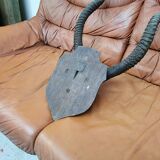 Pair of hunting trophy horn oryx antelope