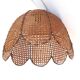 Large cane pendant light