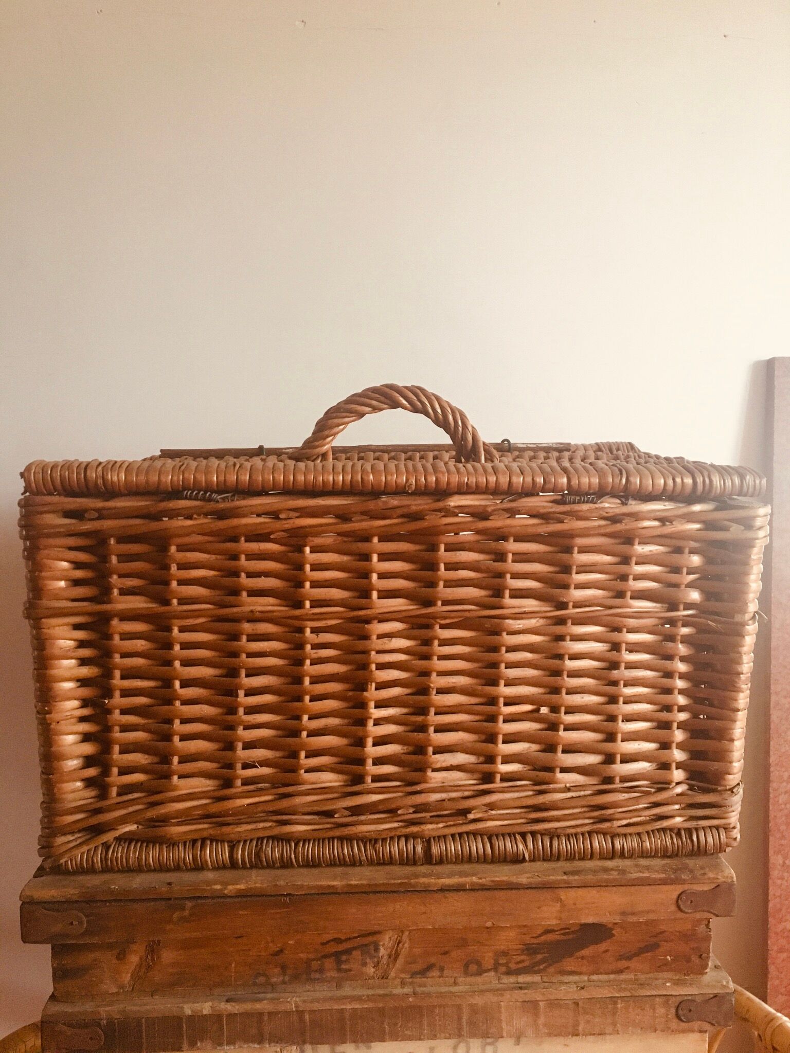 Wicker trunk