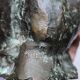 Brown Pierre - bronze "nana", numbered 1/50 (with certificate)