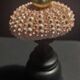 Cabinet of Curiosities sea urchin paracentrotus lividus on pedestal