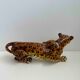 Italian handpainted leopard in ceramic, 1950s