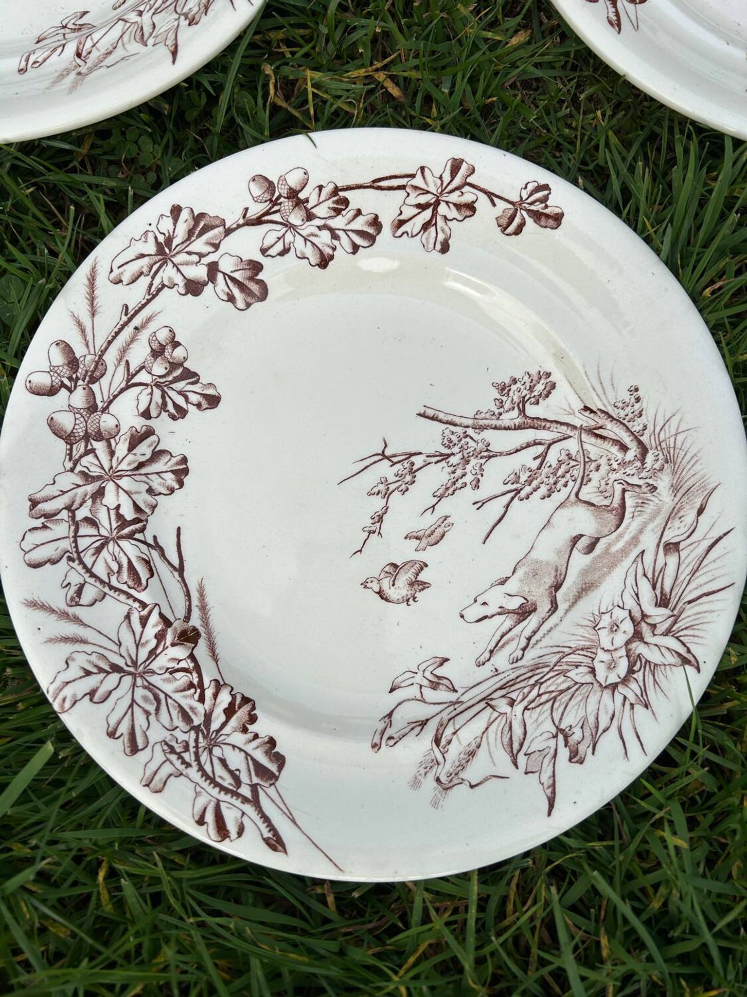 12 assiettes plates en terre de fer modèle Chasse