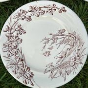 12 assiettes plates en terre de fer modèle Chasse