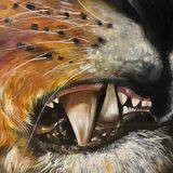 Tableau huile « Tigre à dent de sabre »  signé