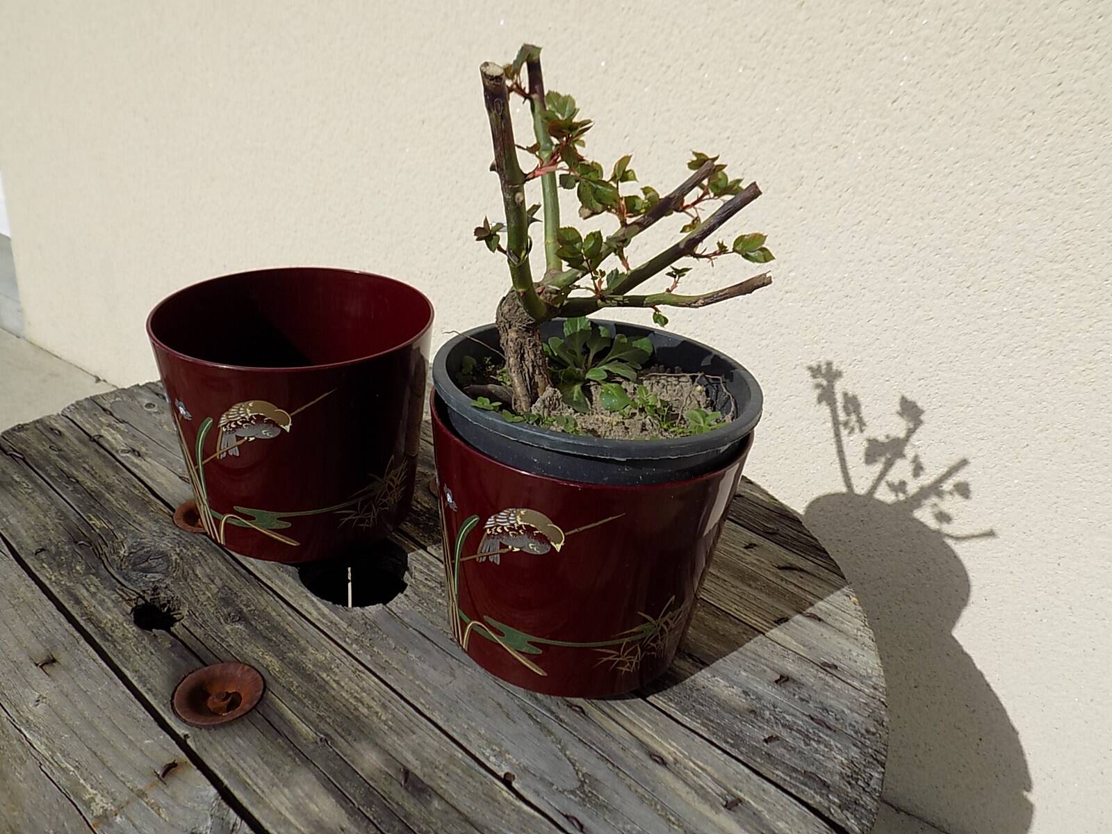 Pair of vintage Asian patterned flowerpots from the 1980s