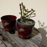 Pair of vintage Asian patterned flowerpots from the 1980s