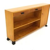Scandinavian elm bookcase, Sweden, 1960
