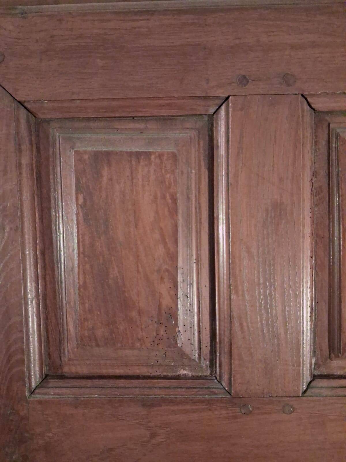 18th-century wardrobe, in walnut, minimalist style.