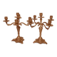 Pair of 5-burner bronze candlesticks