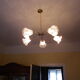 Gilded metal chandelier, 5 branches, opaque glass cupola - 60s/70s