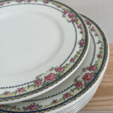 Limoges porcelain plates