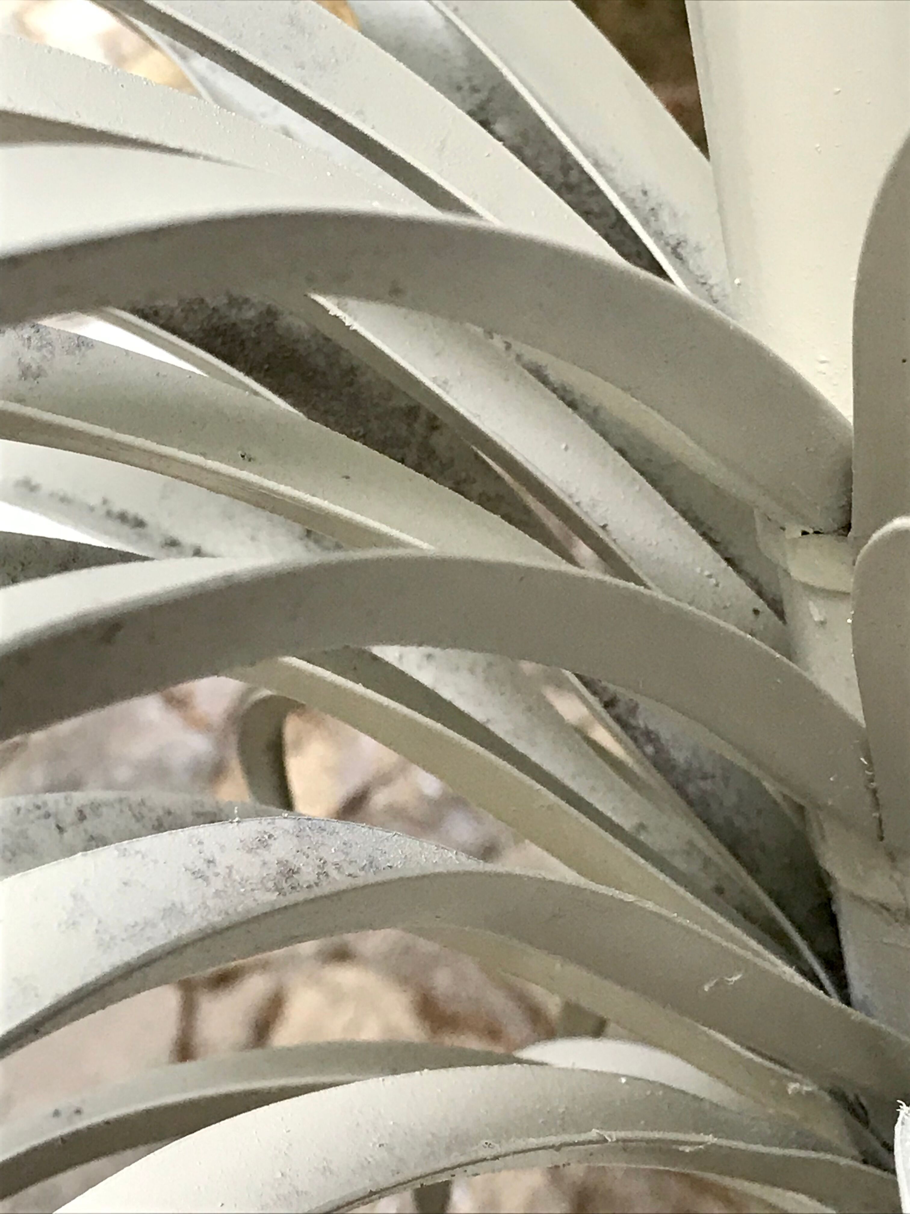 Palm lamppost by Sergio Terzani