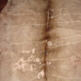 Gazelle skin great kudu 120x150cm