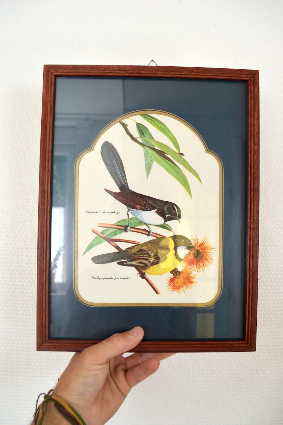 Exotic bird duo setting