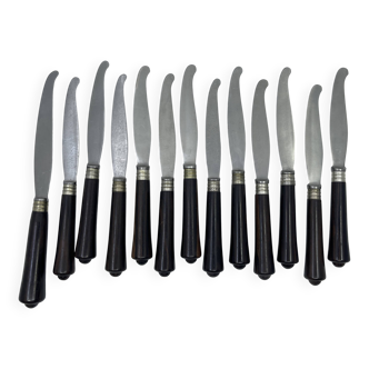 Set of 12 dessert knives + 1 larger one in rosewood.