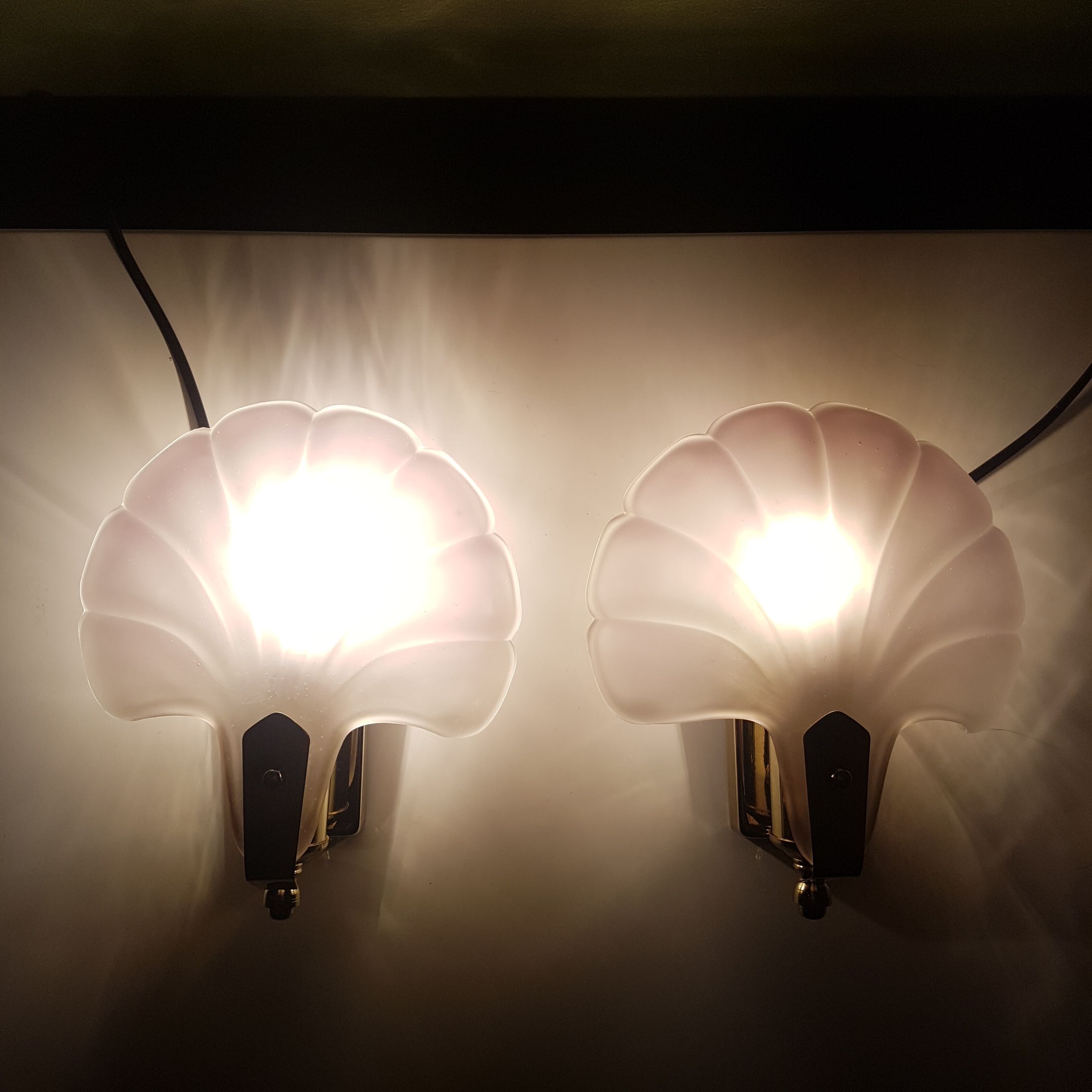 Pair of sconces shell pressed glass sand and golden steel 1970