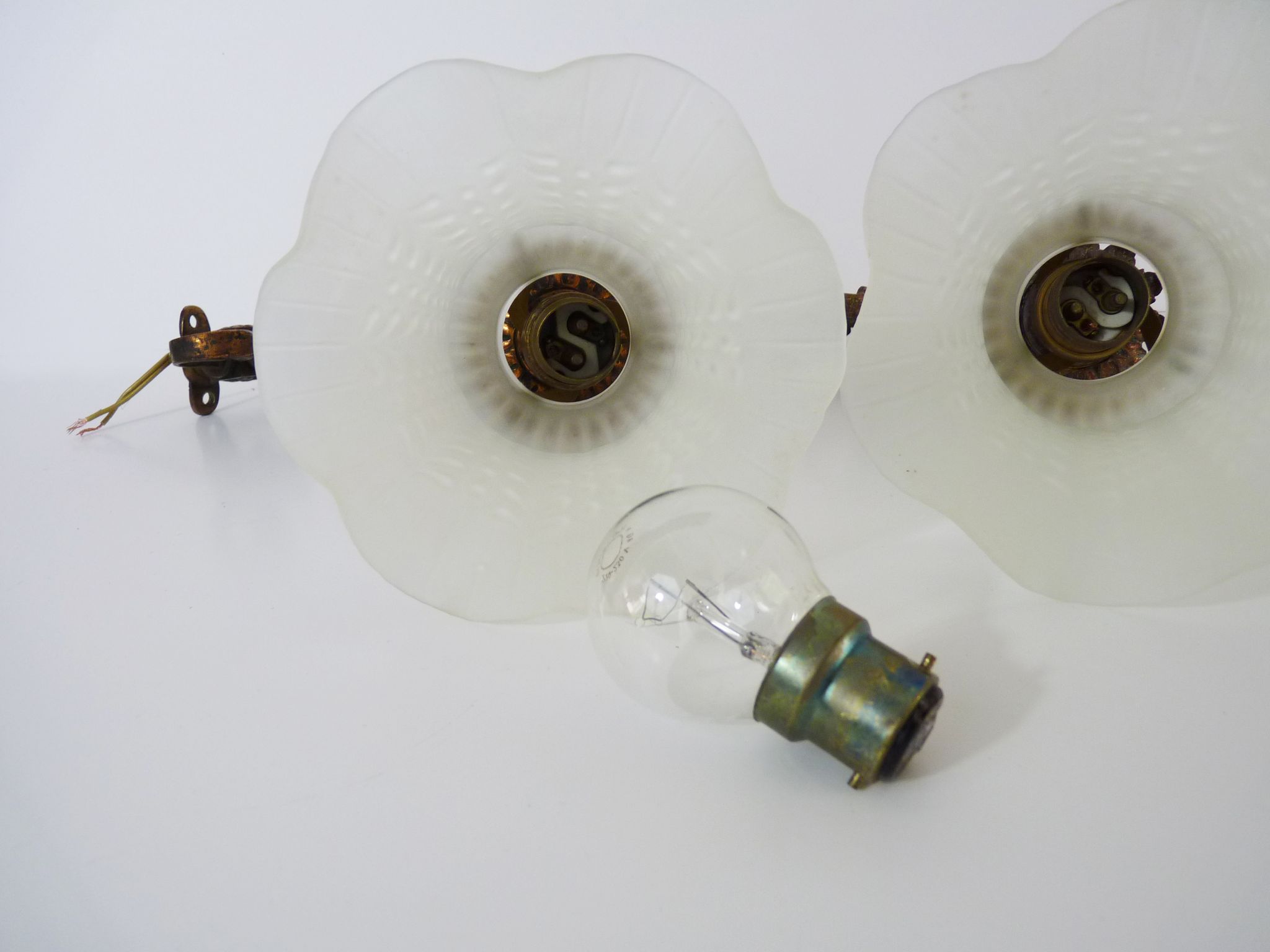 Pair of brass swan collar wall sconces, glass tulips, years 50