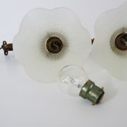 Pair of brass swan collar wall sconces, glass tulips, years 50