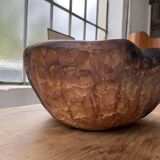 XL thuja root wooden dish