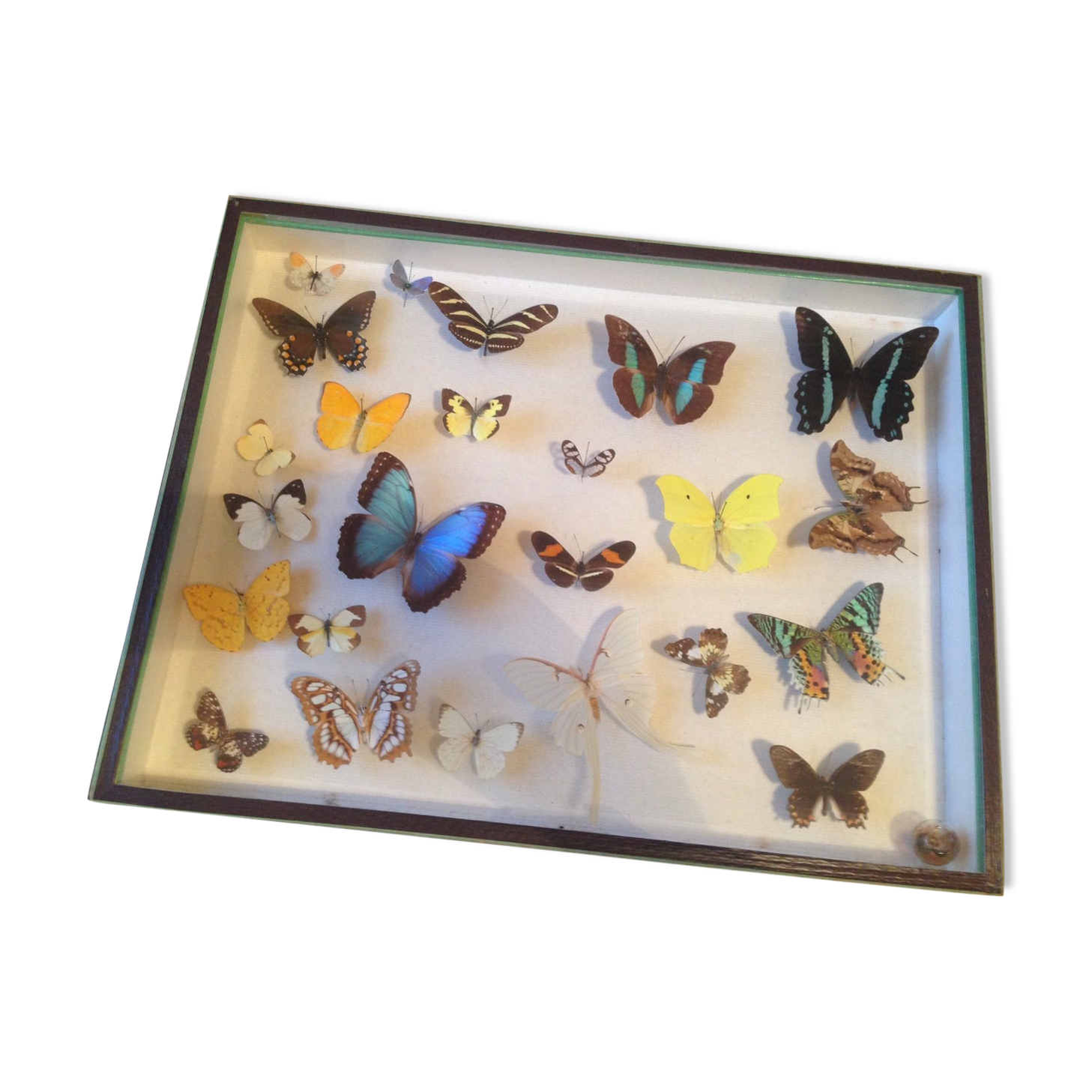 Vannes papillon ECON séries 63 & 64
