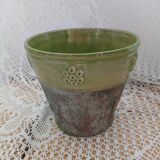 Pot / plant or flower in terracotta