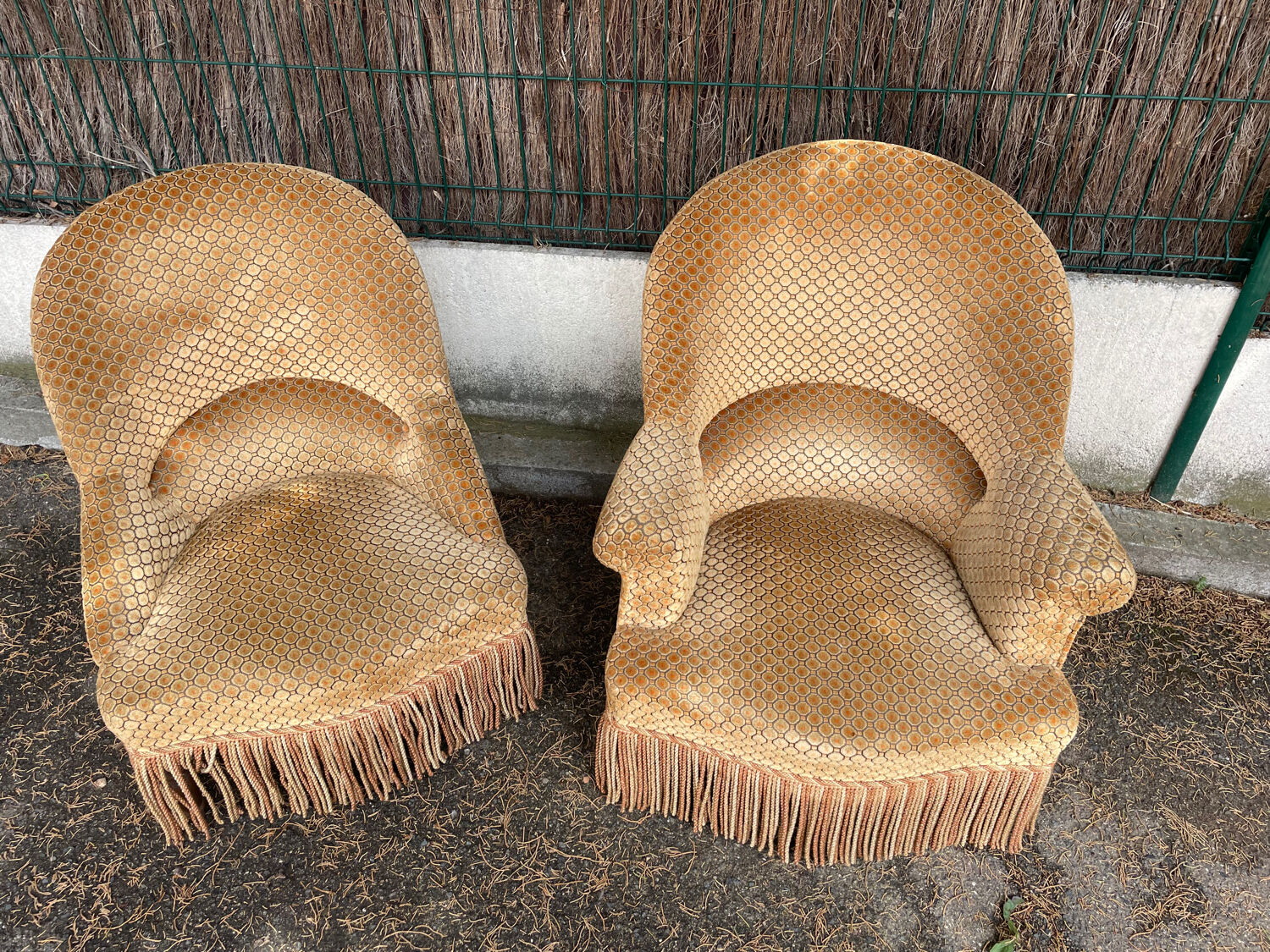 Piary of vintage toad armchairs