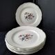 Set of 6 faience dessert plates digoin sarreguemines bird of paradise