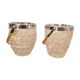 Duo of ice buckets