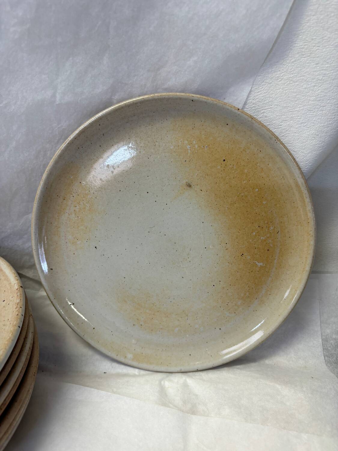 Set of 8 marsh stoneware plates