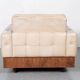 Vintage club chair in rosewood and leather