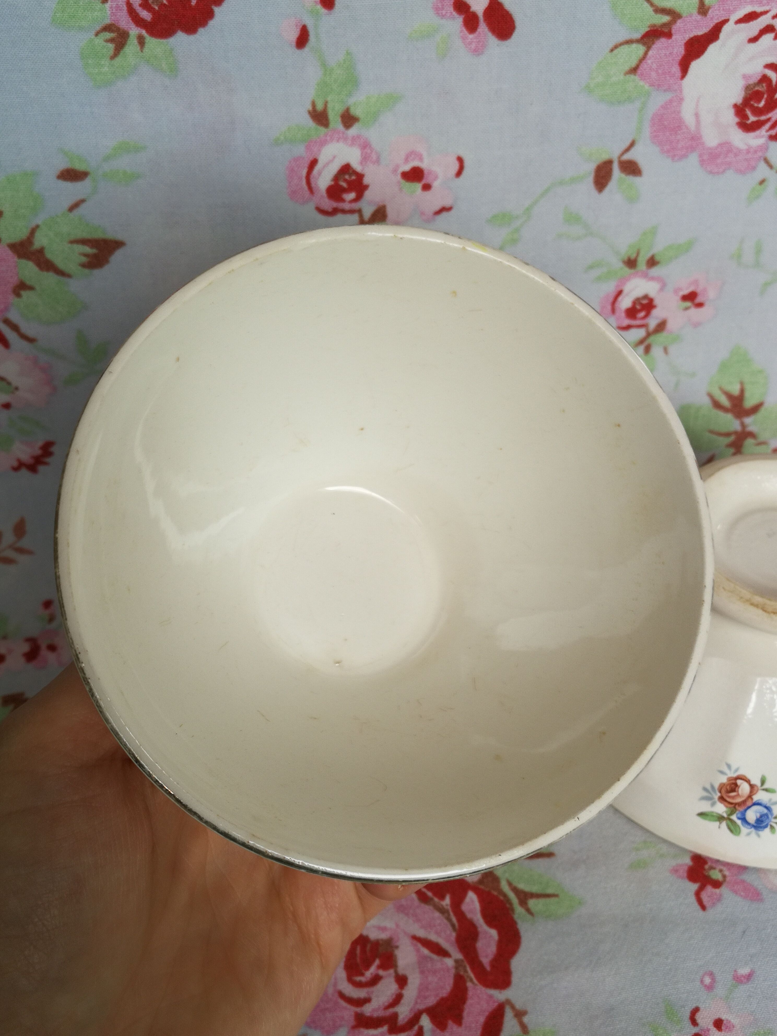 2 old Badonviller bowls to walk with vintage flowers