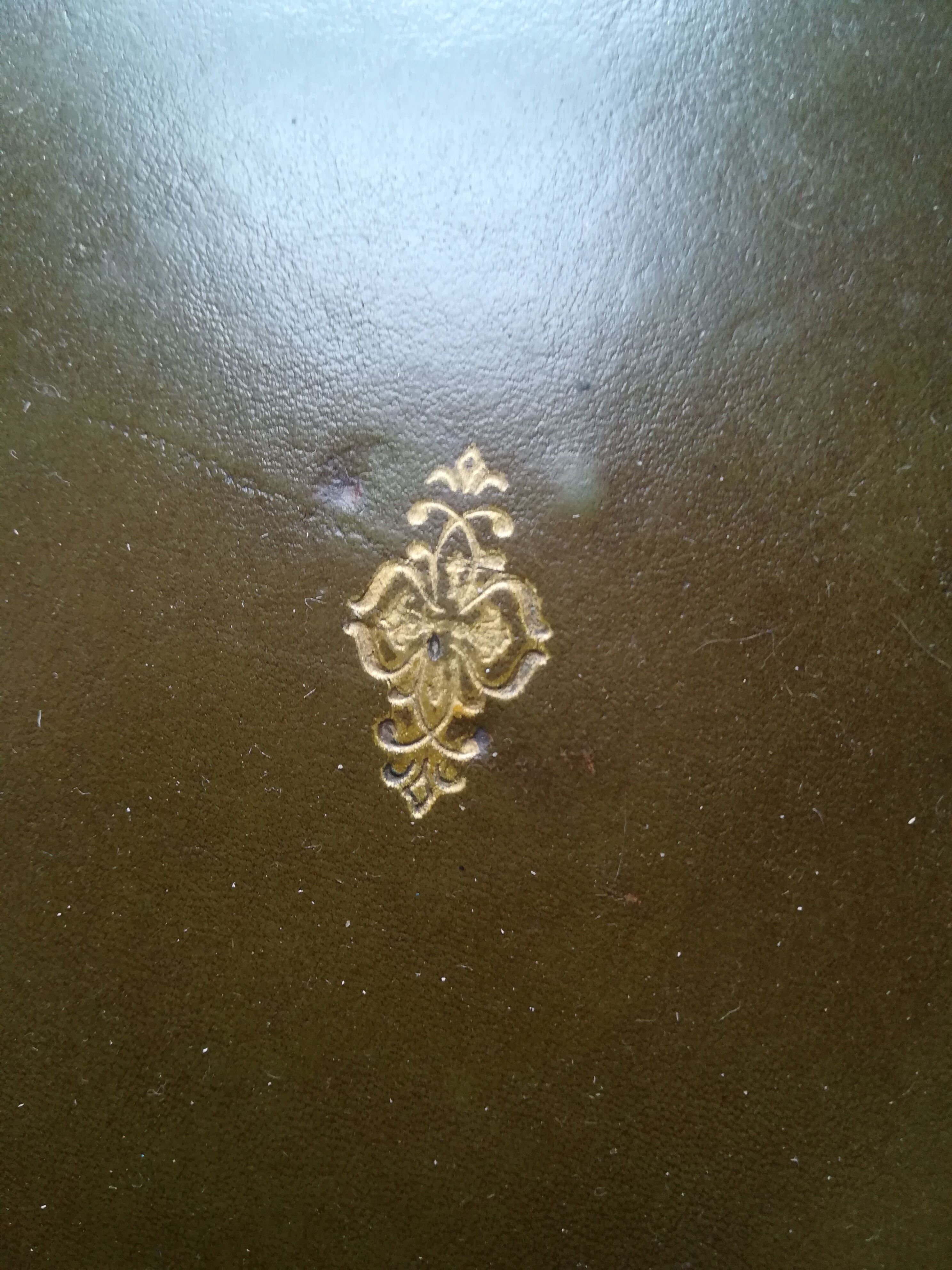 Duo of English harnesses