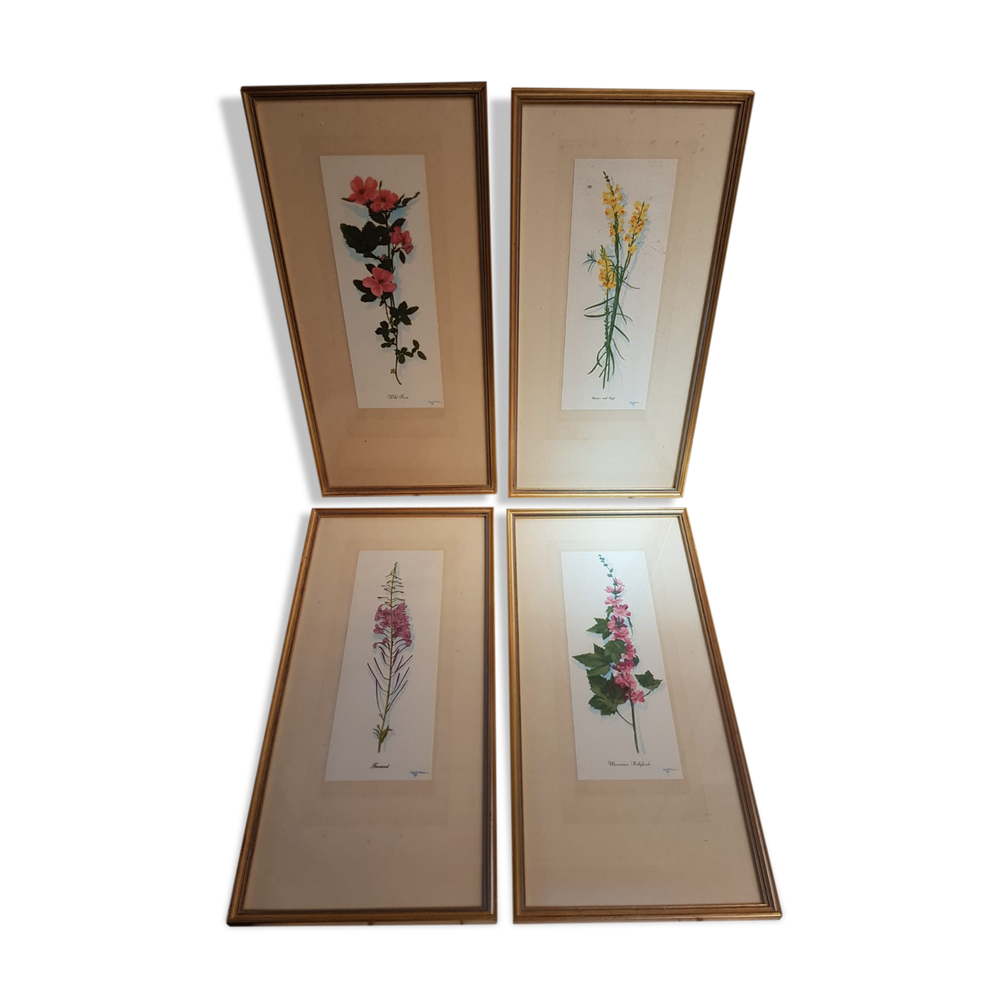 Series 4 Old Botanical Boards Flowers GRANDALL + Frame Gilded Wood Vintage