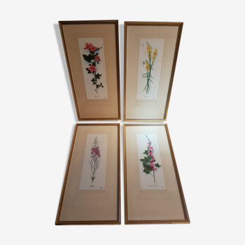 Series 4 Old Botanical Boards Flowers GRANDALL + Frame Gilded Wood Vintage