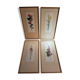 Series 4 Old Botanical Boards Flowers GRANDALL + Frame Gilded Wood Vintage
