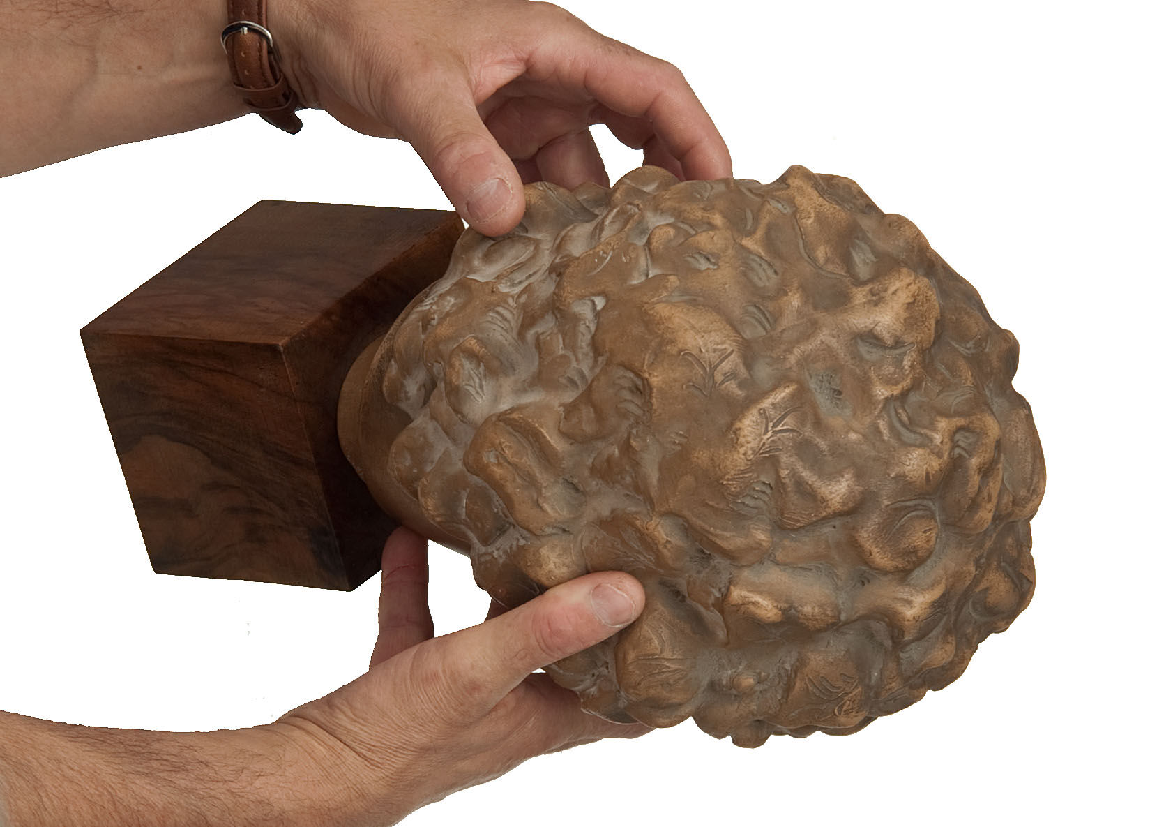 Ephebe terracotta bust