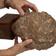 Ephebe terracotta bust