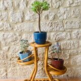 Vintage bamboo and rattan plant holder, circa 70's