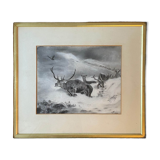 Painting Drawing "Deer in the snow" circa 1910 Gallery New York