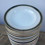 Plates for 14 people Céranord Saint Amand green and golden including hollows and plates