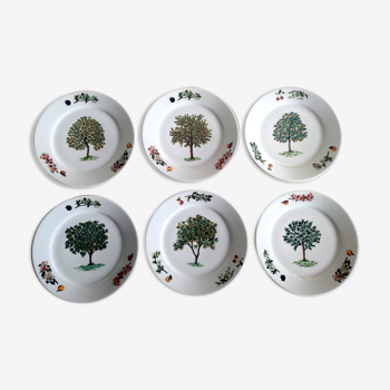 Set of 6 dessert plates