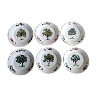 Set of 6 dessert plates