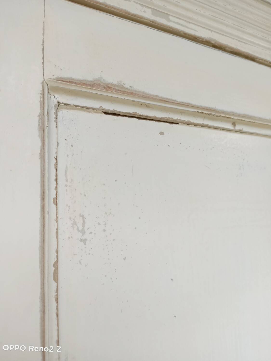 XXL Parisian wardrobe