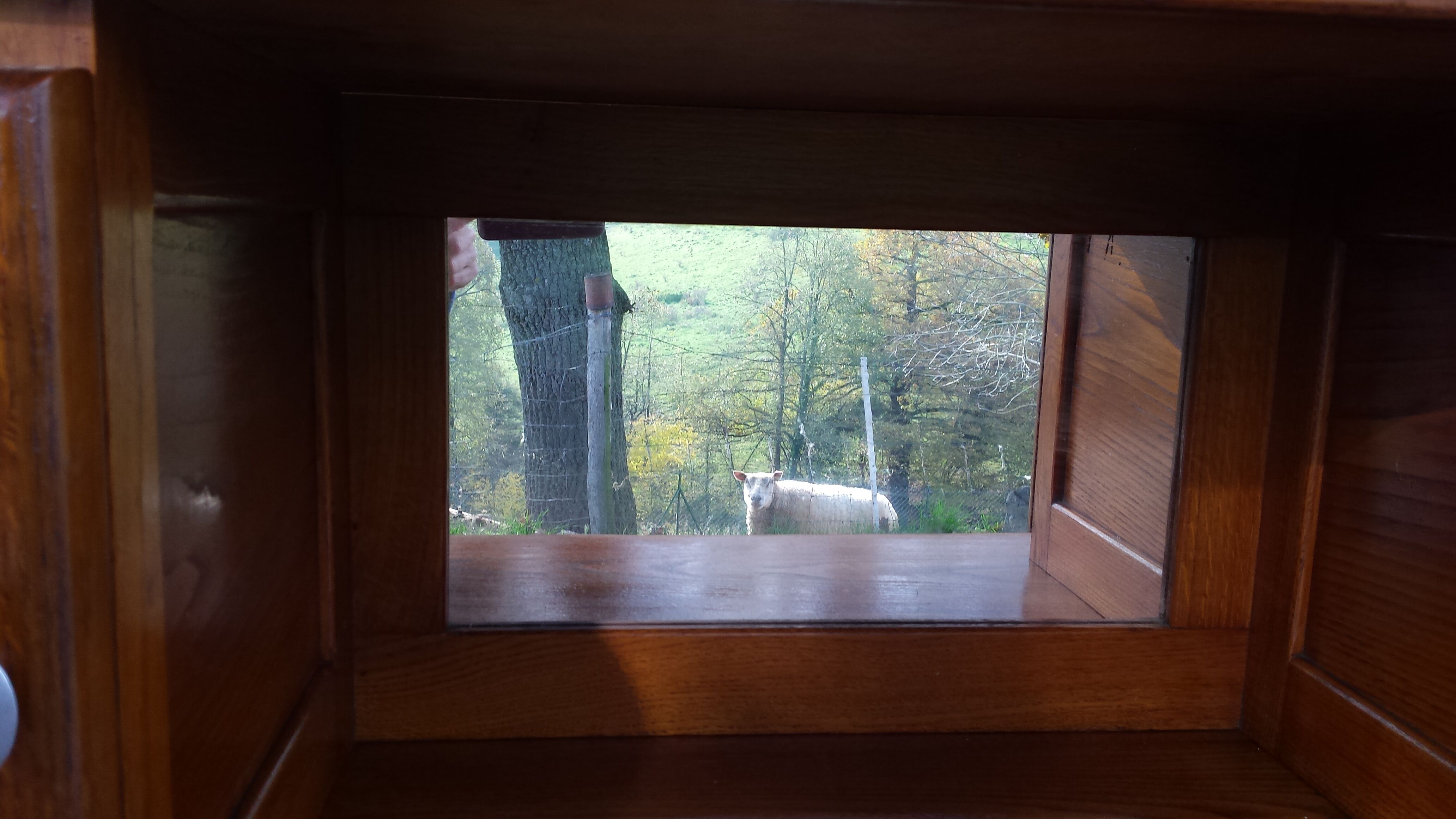 Mado sideboard in solid wood