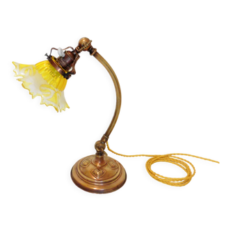 Weighted brass floor lamp with an adjustable swan neck and an acid-etched crystal shade.