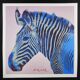 Limited Edition Lithograph "Grevy's Zebra" by Andy Warhol