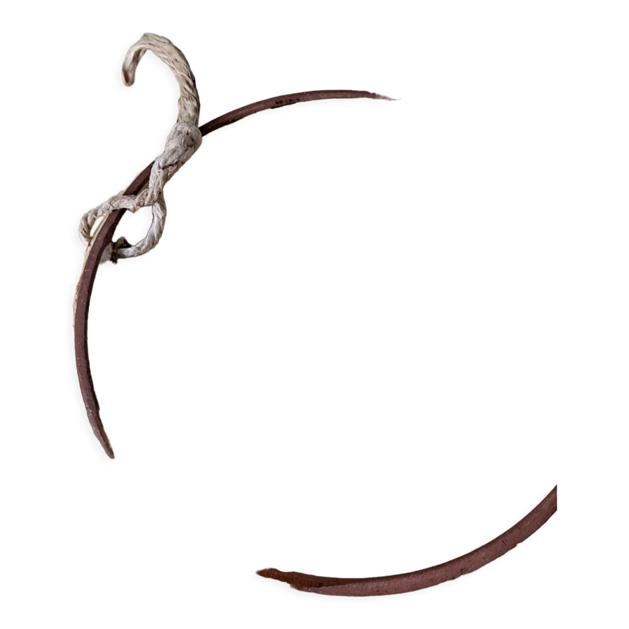 Goat plate Vilà Clara